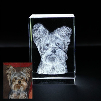 Rectangular Crystal With 2D/3D Photo Engraved Rectangular Crystal With 2D/3D Photo Engraved