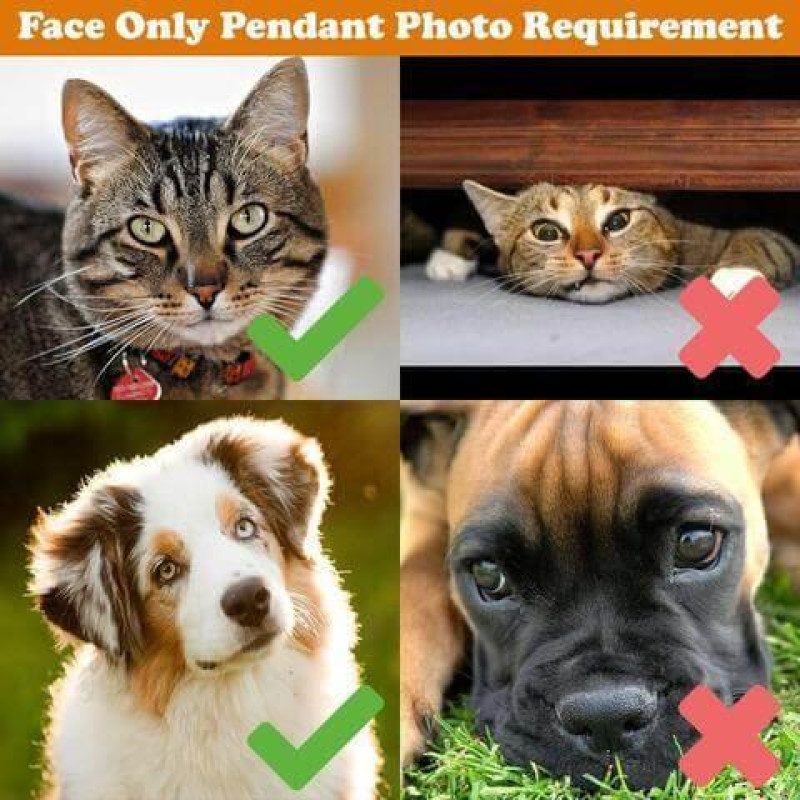 Personalised Multi-Pet Photo Memorial Keyring Personalised multi-pet photo memorial keyring with engraved pendant