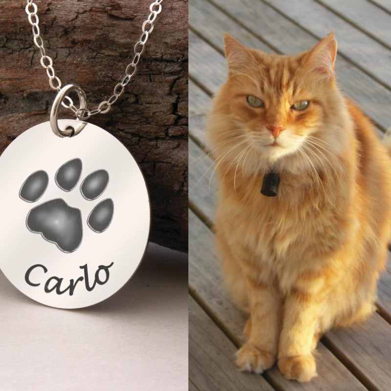 Personalised Pet Paw Print Pendant Necklace Personalised sterling silver pet paw print pendant necklace