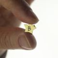 Star Stud Initial Earrings in Gold Star stud initial earrings product image
