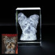 Personalised Crystal With 2D/3D Photo Engraved