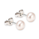 Freshwater Pearl Ear Studs Sterling Silver