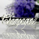 Solid White Gold Personalised Champagne Font Name Necklace