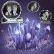 Circle Laced Shape Crystal With 2D/3D Photo Engraved