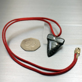 Carbon Fibre Sharks Tooth Pendant Necklace