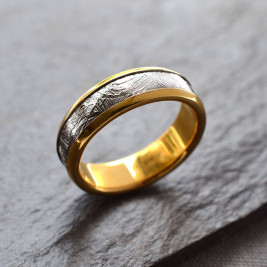 Meteorite Inlaid Gold Plated Ring