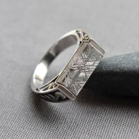 Meteorite Signet Ring