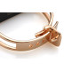 Elephone W1 Smart Bracelet (Gold)